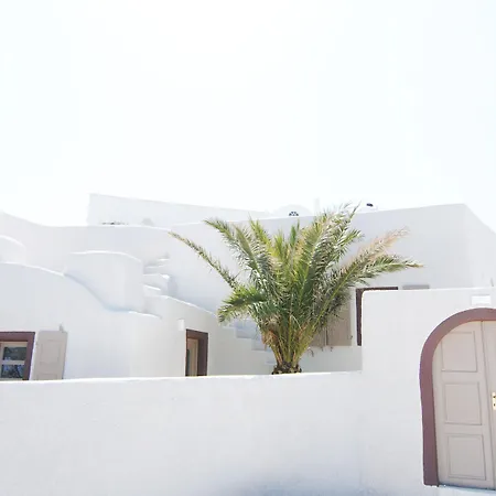 White Grape 3* イア