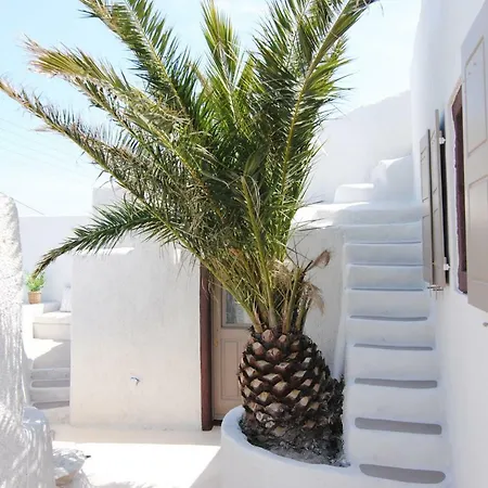 White Grape Maison d'hôtes Oia (Santorini)