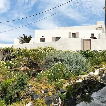 Guest house White Grape