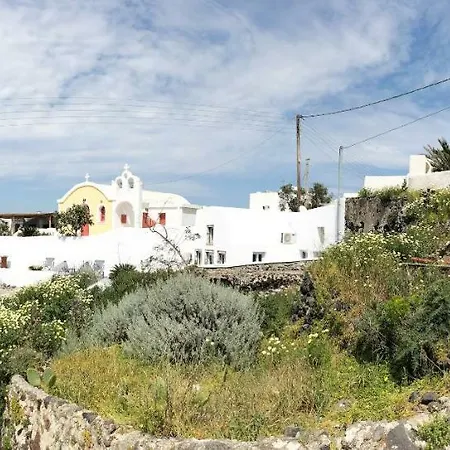 Guest house White Grape