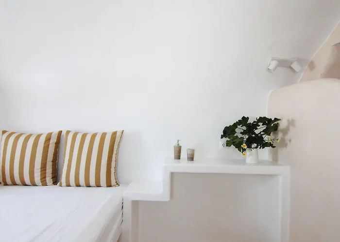 White Grape Gæstehus