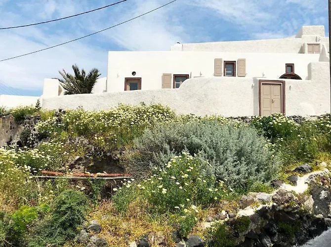 Gæstehus White Grape