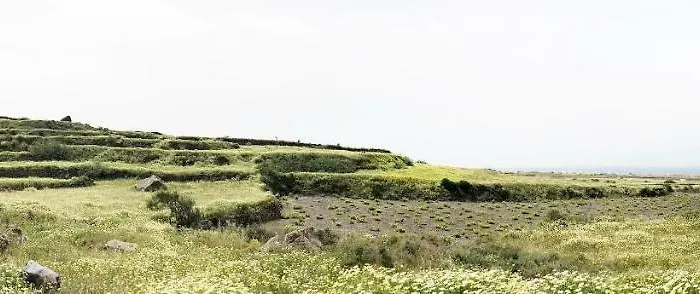 White Grape Gæstehus 3*