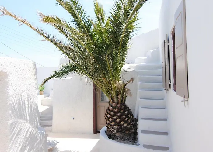 White Grape Maison d'hôtes Oia (Santorini)